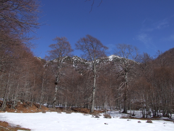 La Valle di Canneto (FR) Parco Nazionale D''Abruzzo